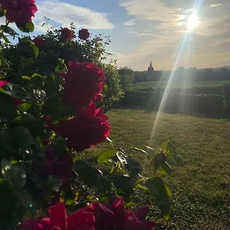 Chaleureux Au Coeur Des Monts De Flandres *