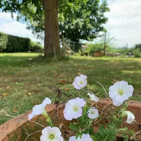 Chaleureux Au Coeur Des Monts De Flandres Saint-Jans-Cappel